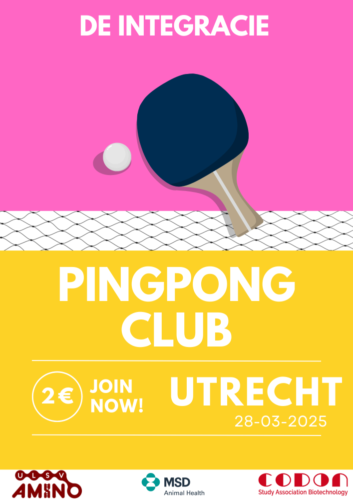 IntegraCie Pingpong Club 
