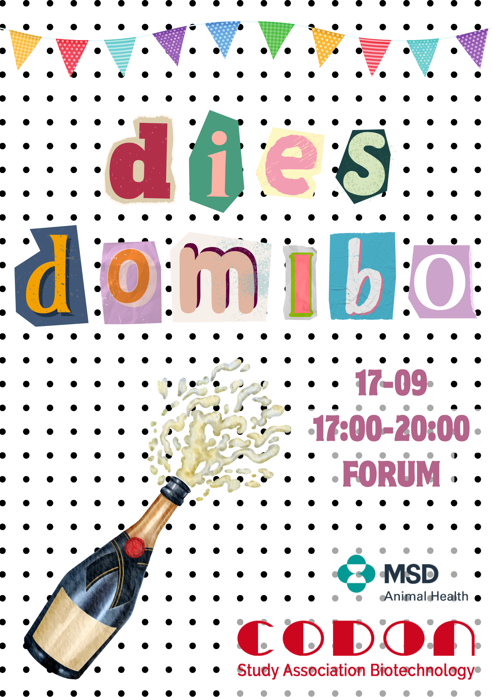 DIES DoMiBo